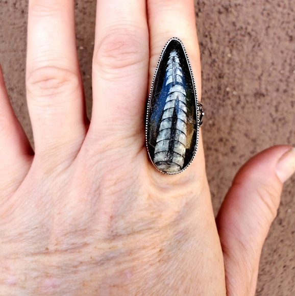 New Huge Orthoceras Fossil 925 Silver Ring. - Picture 12 of 16